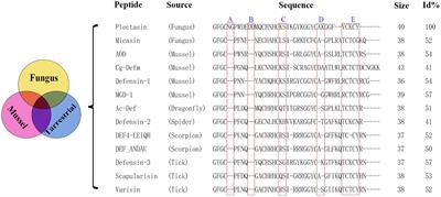 Plectasin: from evolution to truncation, expression, and better druggability